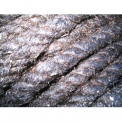 ������� /����� �������� (�����) 10-12�� 10�� 